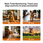PetHey Wireless Dog Fence T800PRO - T800PRO_04