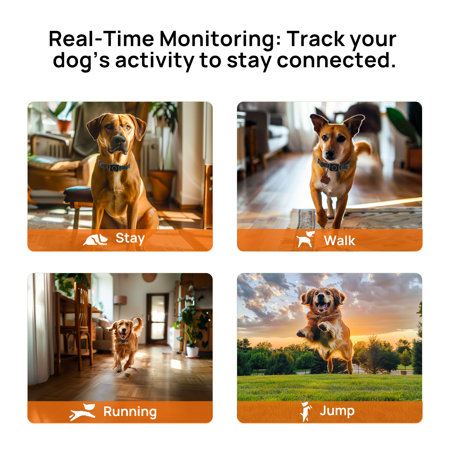 PetHey Wireless Dog Fence T800PRO - T800PRO_04