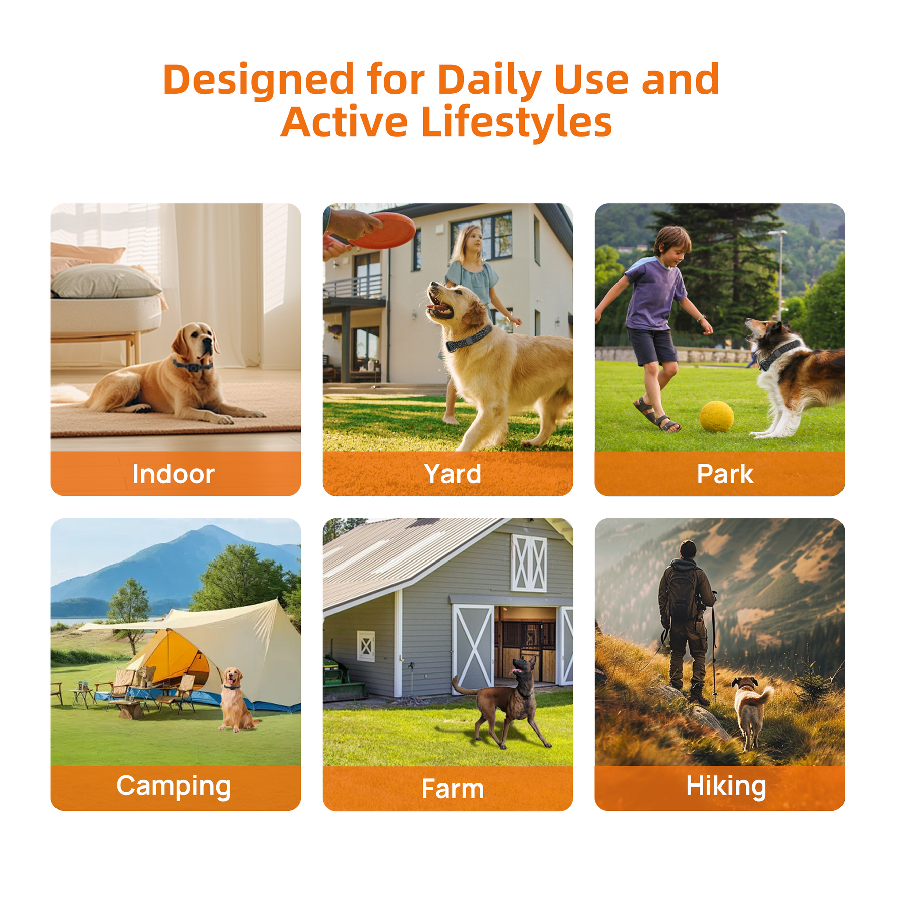 PetHey Wireless Dog Fence T800PRO - T800PRO_09