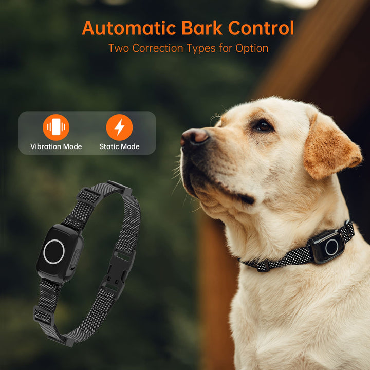 T800Plus 4-in-1 Remote Dog Training Collar