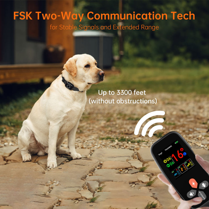 T800Plus 4-in-1 Remote Dog Training Collar