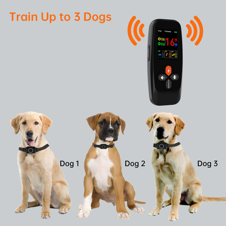 T800Plus 4-in-1 Remote Dog Training Collar
