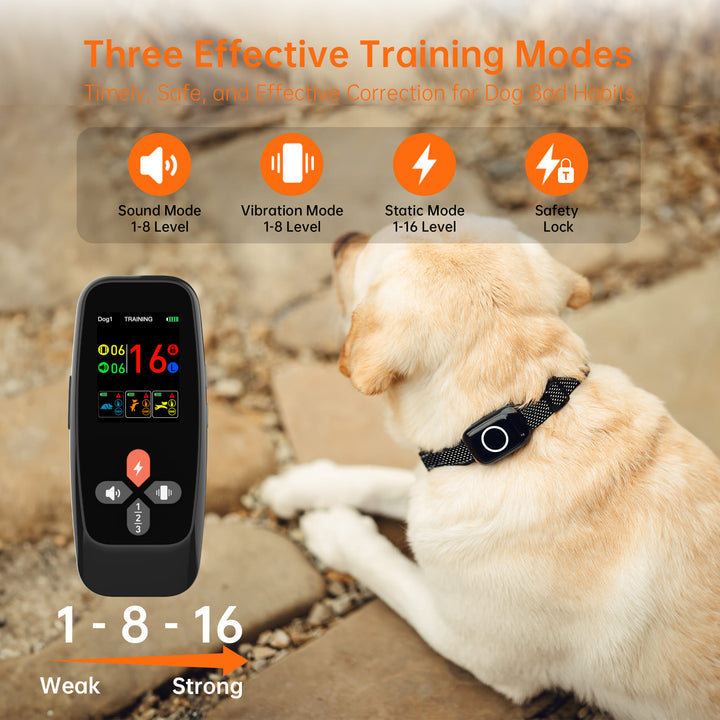 T800Plus 4-in-1 Remote Dog Training Collar