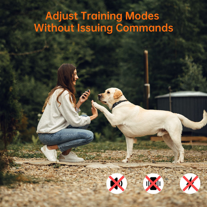 T800Plus 4-in-1 Remote Dog Training Collar