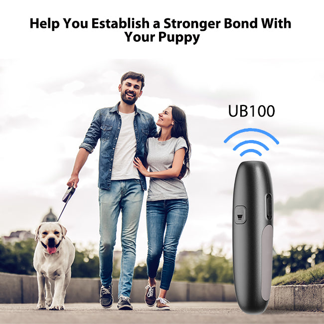 PETHEY UB100 Ultrasonic Dog Bark Control Device, Small, Silver Gray