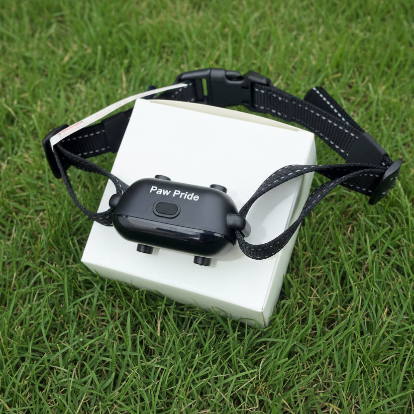 Paw Pride Electronic Collars to Train Animals — Smart Training Solutions