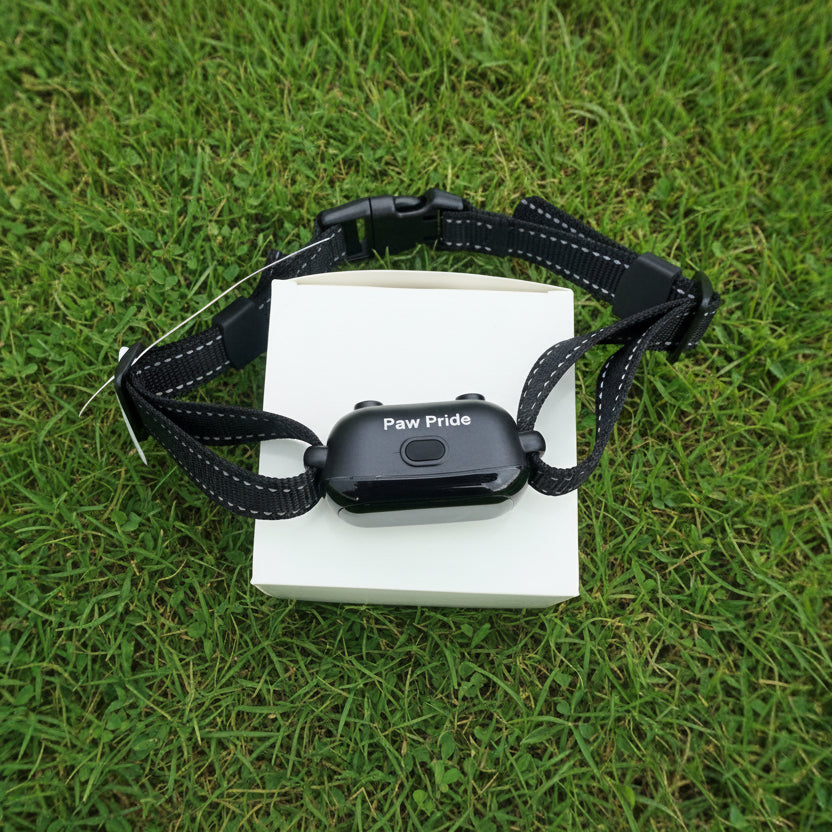 Paw Pride Electronic Collars to Train Animals — Smart Training Solutions